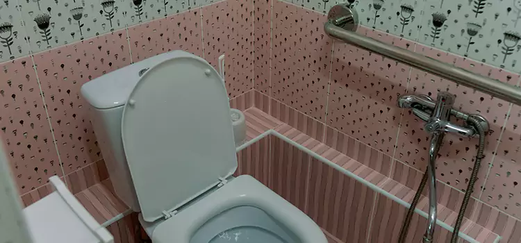 Meeting Diverse Needs With Accessible Restroom Solutions in Sanford, FL